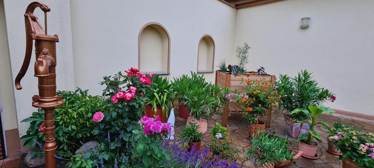 שוודט Die Ferienwohnung "Am Kietz" מראה חיצוני תמונה